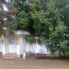 ulugala